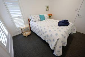 Fotografie z fotogalerie ubytování Willie Wagtail Place v destinaci Alstonville + 8 fotografií