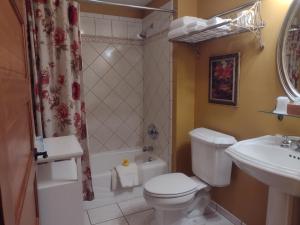 uma casa de banho com um WC, um lavatório e um chuveiro em The Historic Elk Mountain Hotel em Elk Mountain