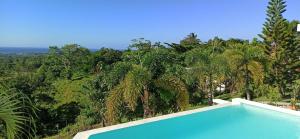 a swimming pool in front of a forest of palm trees at VistaLinda, Villa PAMPA in Río San Juan