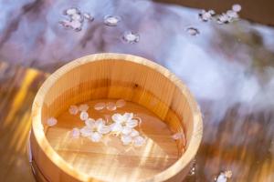 Foto de la galería de グランピング　星が見の杜 en Nakatsugawa