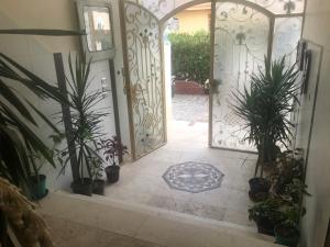 an entrance to a house with a gate and plants at Sunny sky in Quseir