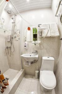 a bathroom with a toilet and a sink at Bonjour Hotel in Saint Petersburg