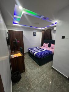 a room with a bed in a room with avisor at Lords&ladies suites in Lagos