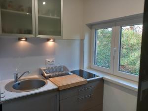 a kitchen with a sink and a counter top at Un Air D'alsace in Rimbach-près-Guebwiller