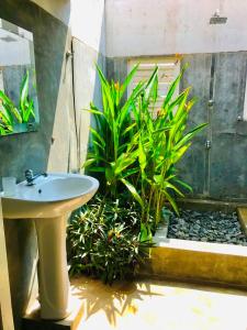łazienka z umywalką i roślinami w obiekcie Great Lake Villa w mieście Tissamaharama