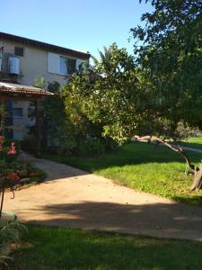 a driveway leading to a house with a tree at לטייל בחוץ להרגיש בבית in H̱efẕi Bah