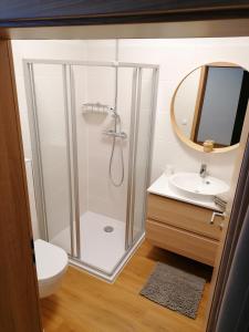 ein Bad mit einer Dusche, einem Waschbecken und einem Spiegel in der Unterkunft Bergperle Apartments & Mountain Sport in Fliess