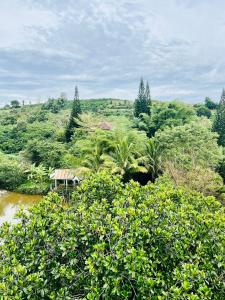 a house in the middle of a field of bushes at Thông Villa in B'su M'rac