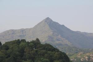 a mountain in the distance with trees in the foreground at Aberdunant Hall in Porthmadog