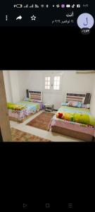 - une chambre avec 2 lits dans l'établissement دمياط الجديدة, à Dumyāţ al Jadīdah
