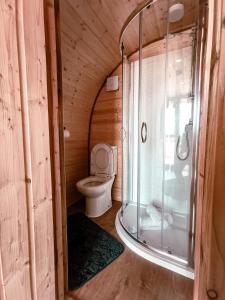 a bathroom with a toilet and a glass shower at Crabmill Glamping with hot tub in Bewdley