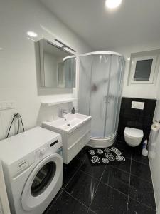 a bathroom with a washing machine and a sink at Apartmani Daisy in Velika Gorica