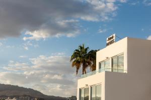 a white building with a palm tree on top of it at Astral Maris Hotel in Eilat