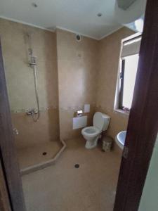a bathroom with a shower and a toilet and a sink at Къща за гости Даниела in Lozenets