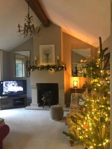 a living room with a christmas tree and a tv at The Lodge at The Cedars in Stourbridge