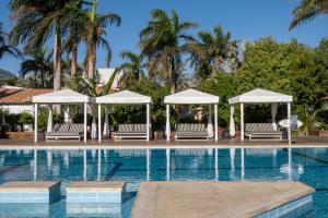 einen Pool mit weißen Sonnenschirmen und Bäumen in der Unterkunft Astral Village Hotel in Eilat