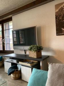 TV a/nebo společenská místnost v ubytování Appartement Niedergrächen