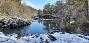 a river covered in snow with rocks and trees at Spacious one bedroom apartment in North Kessock in Inverness