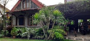 a house with palm trees in front of it at HOMESTAY ARGOPENI in Kalianget +14 photos