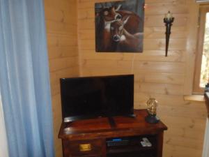a television on a wooden table in a room at Huis H8 in Epe