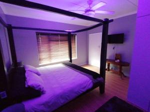 a bedroom with a canopy bed with purple lighting at Protea Private Suite - Ramsgate Ramble Rest in Margate