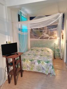 Schlafzimmer mit einem Bett und einem Schreibtisch mit einem Laptop in der Unterkunft Gites "les colibris" in Schœlcher