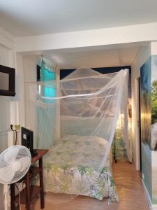 um quarto com uma cama e uma rede mosquiteira em Gites "les colibris" em Schœlcher