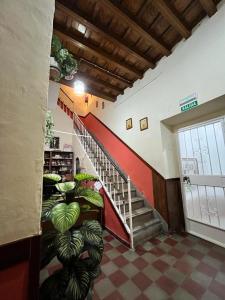 una escalera en un edificio con plantas verdes en Pensión Bienvenido, en Sevilla