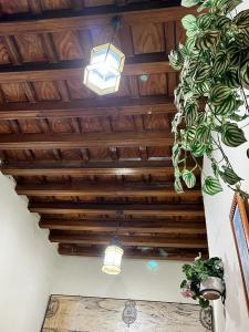 a ceiling with two lights and a potted plant at Pensión Bienvenido in Seville
