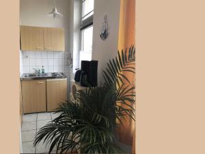 Η κουζίνα ή μικρή κουζίνα στο Ferienwohnung Sprenger _ Objekt 25 +8 φωτογραφίες
