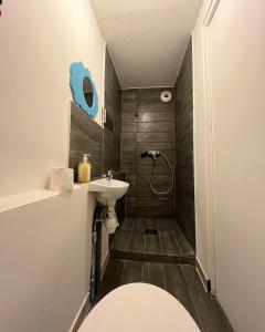 a bathroom with a toilet and a sink at Grand studio pour 1 ou 2 personnes in Schiltigheim