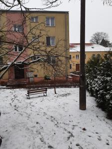 un banc dans un parc recouvert de neige dans l'établissement Mieszkanie na mazurach 2, à Kętrzyn