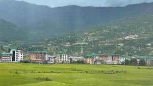 山景或從飯店拍的山景