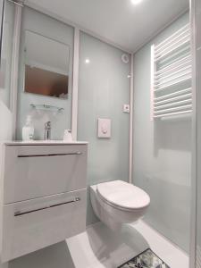 a white bathroom with a toilet and a shower at LES 2 CHENES in Les Riffes