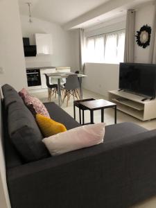 ein Wohnzimmer mit Sofa und Fernseher in der Unterkunft Alsacian Home - Old Town Cosy Apartments in Colmar