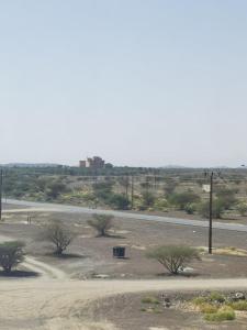 a road in the middle of a field with trees at Dahreez motel in Qurţah