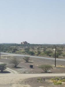 una strada in mezzo a un campo alberato di Dahreez motel a Qurţah