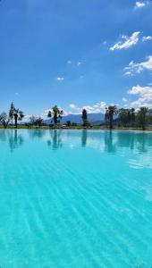 uma grande piscina de água azul com palmeiras no fundo em Agriturismo Il Pozzo em Polla