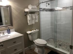 a bathroom with a shower and a toilet and a sink at Bleu Beach Resort in Indialantic
