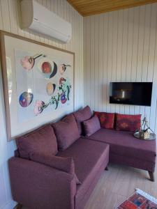 sala de estar con sofá púrpura y TV en Defneland Daphne en Ildır