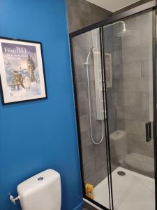 a bathroom with a toilet and a glass shower at L'Atelier de l'Artiste - Moulins Cœur de ville in Moulins