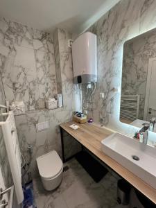 een badkamer met toilet en wastafel bij Apartment Bjelasnica Mara in Bjelašnica +26 foto's