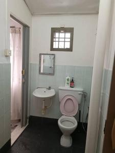 a bathroom with a pink toilet and a sink at Cozy house with free parking near Utm, Legoland in Skudai