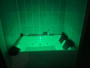 Afbeelding uit fotogalerij van CHOPIN’studio BALNEO’2pers in Chasse-sur-Rhône +15 foto's