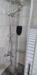 y baño con ducha y puerta de cristal. en POLYTIMI HOUSE, en Kalavrita