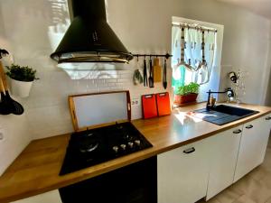 Fotografie z fotogalerie ubytování Villa Paradiz v destinaci Labin