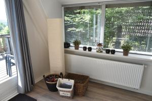 ein Zimmer mit einem Fenster mit Topfpflanzen darauf in der Unterkunft De Oranje Kabouter in Durbuy