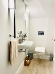 a bathroom with a sink and a toilet at The Village Cottage in Franschhoek