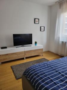 uma sala de estar com uma televisão e uma cama em Sleek & lovely studio with a great location em Belgrado