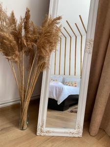 a mirror sitting on the floor next to a bed at Central Crib in Hunedoara